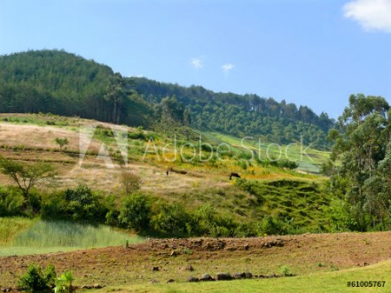 Bild på Africa Ethiopia Landscape of the African nature Mountains va